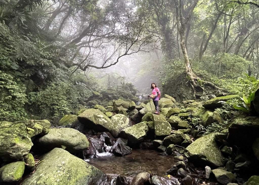 陽明山鹿角坑生態保護區 20240413_2481681