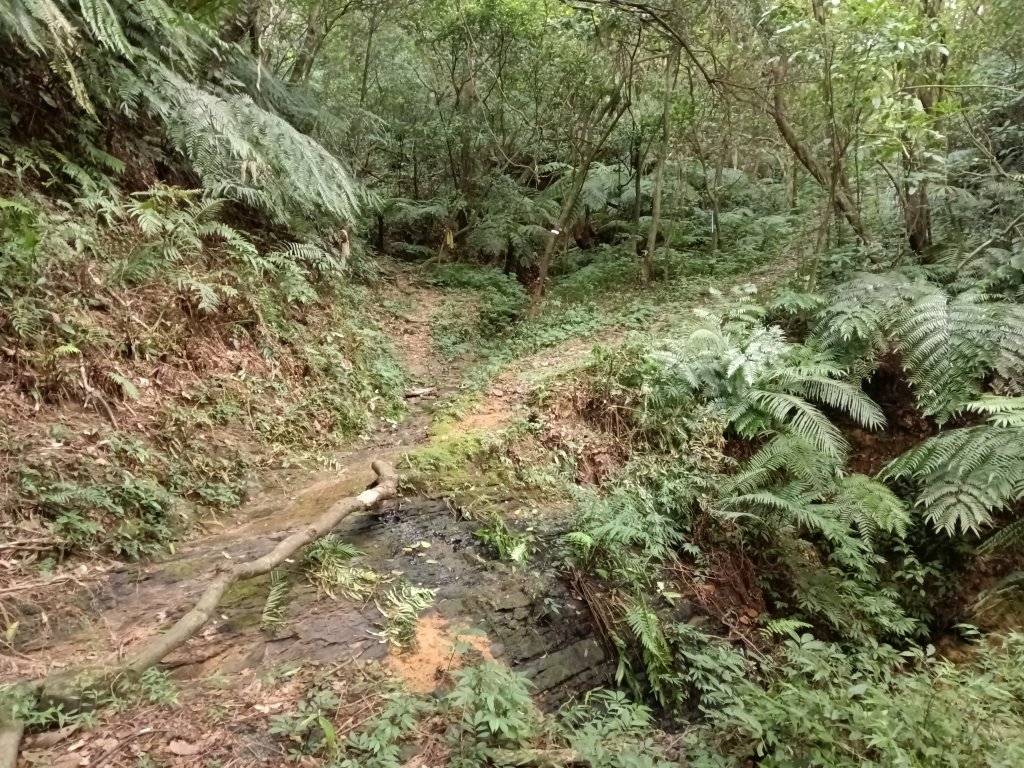 基隆市三層山+湳子大崙+淡基橫斷古道+面桶寮土地公_2982213