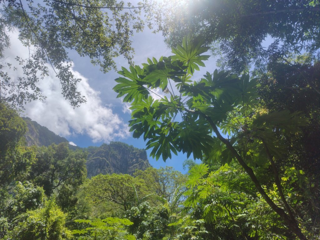 廢棄的步道_2531802