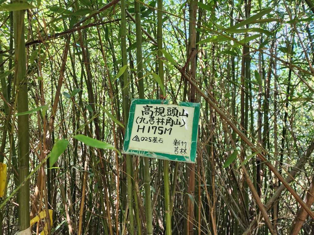 文林古道_2410466