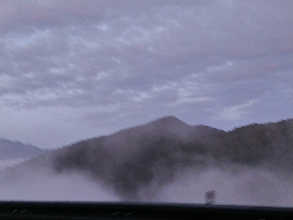 一年一度的饗宴～浪漫金黃之秋山毛櫸_1146018