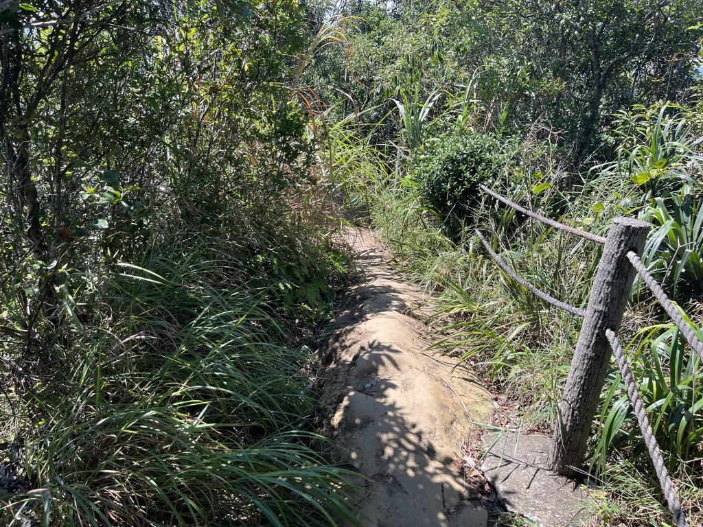 [微笑山線_第九段] 2025_0914 二格山系_皇帝殿西峰_2889699