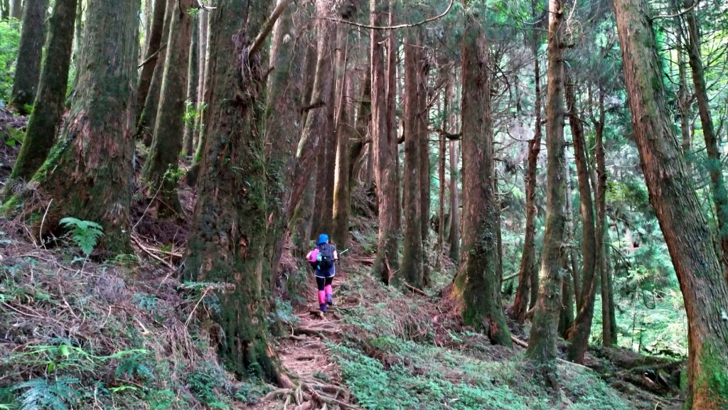 特富野、兒玉山、東水山、北霞山、一次滿足_1005781