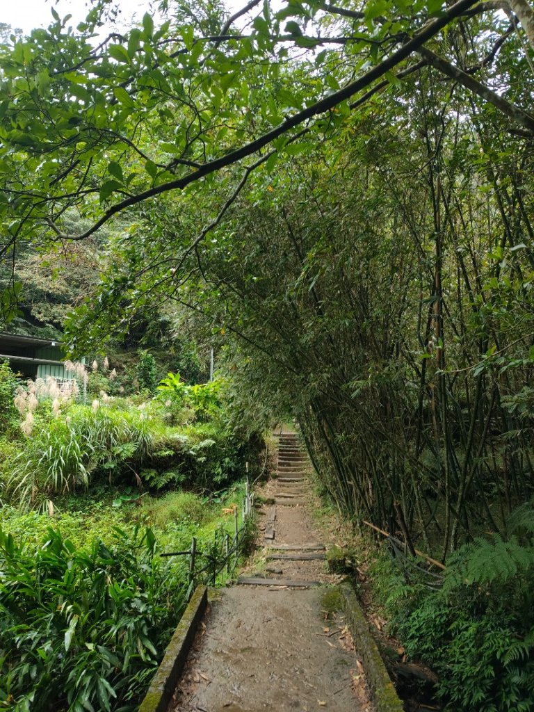 微笑山線：【二格山系】銀河洞越嶺段_2959999