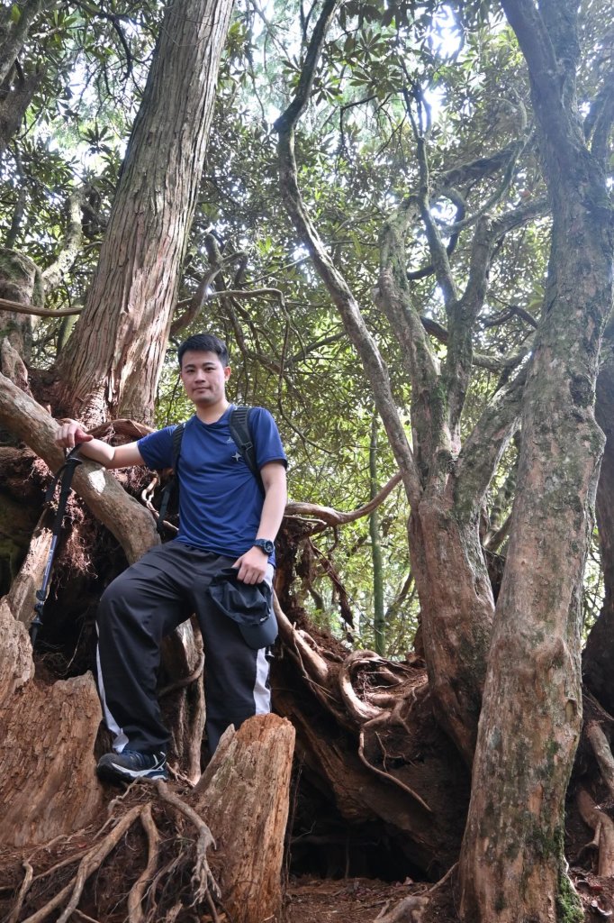 中級山-高島縱走_2888356