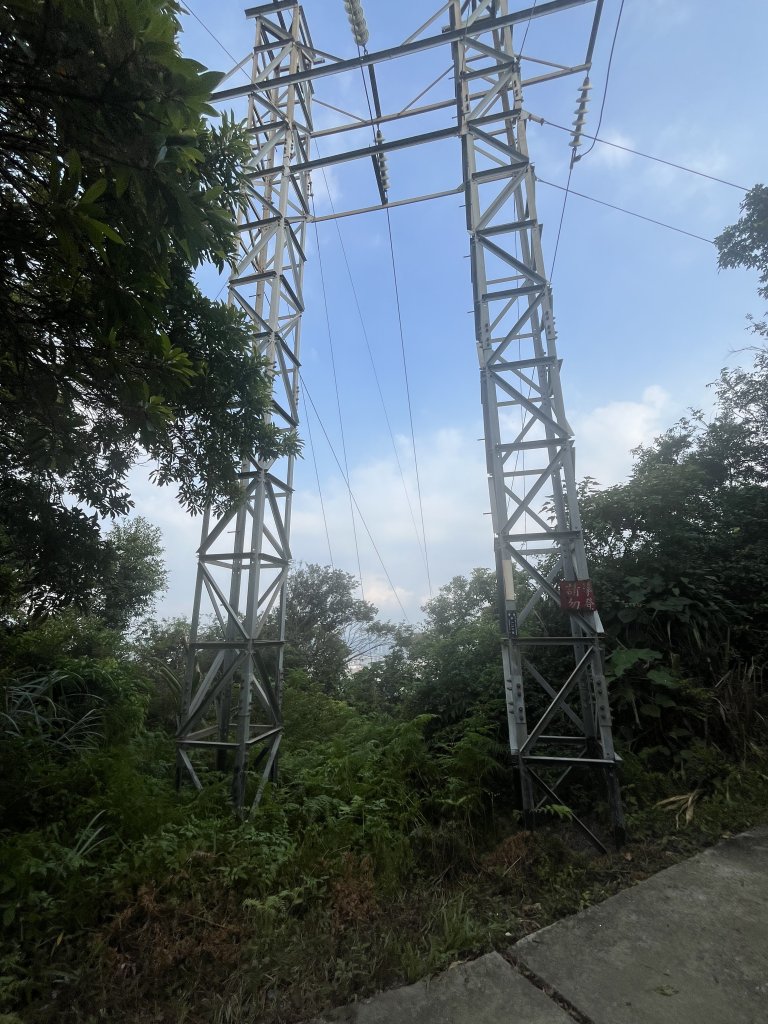 [山頂鳥40周年會員大縱走-14/15] 2024_0804 劍潭山親山步道_2566192