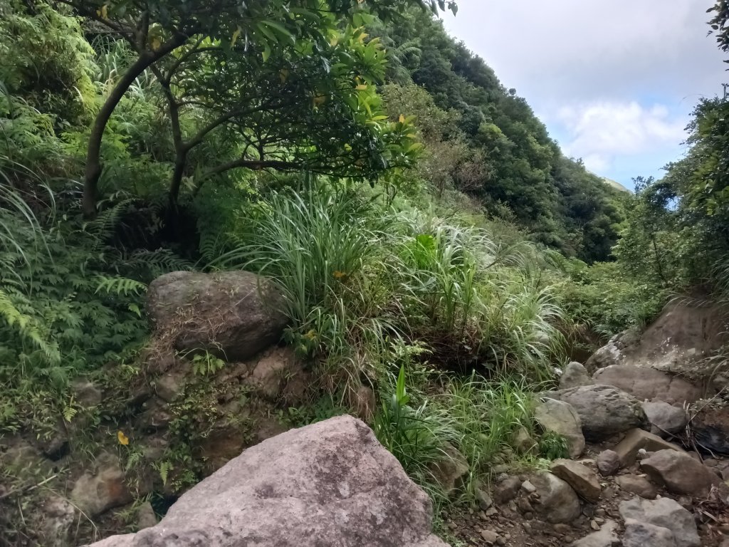 瑞芳區找尋半屏大瀑布未果_2880957