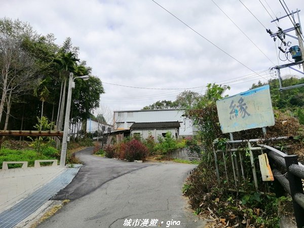 【台中。東勢】鄉村風情。 小中嵙登山步道_1243196