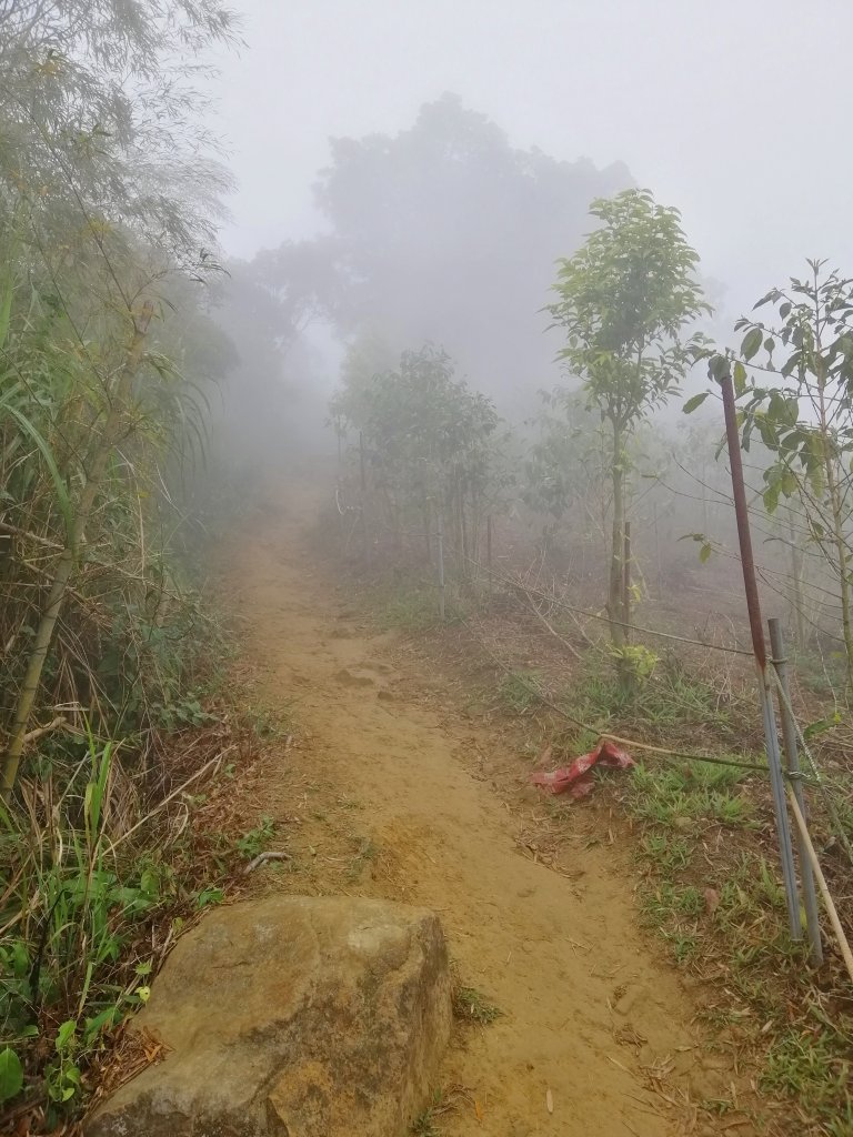 小百岳的西嶽名山#56小百岳雲嘉大尖山_760364