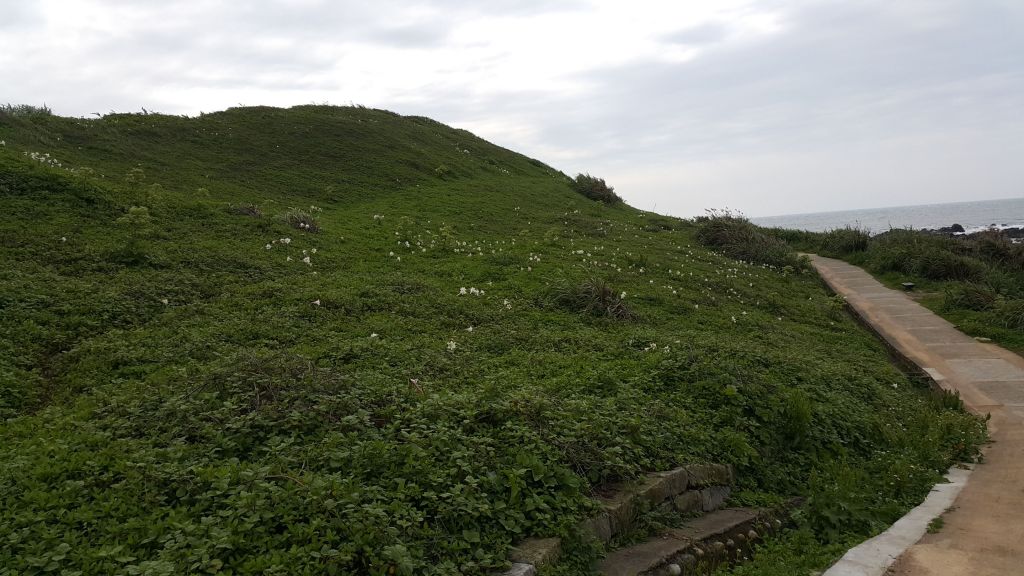 富貴角燈塔步道 2015 04 22_138247