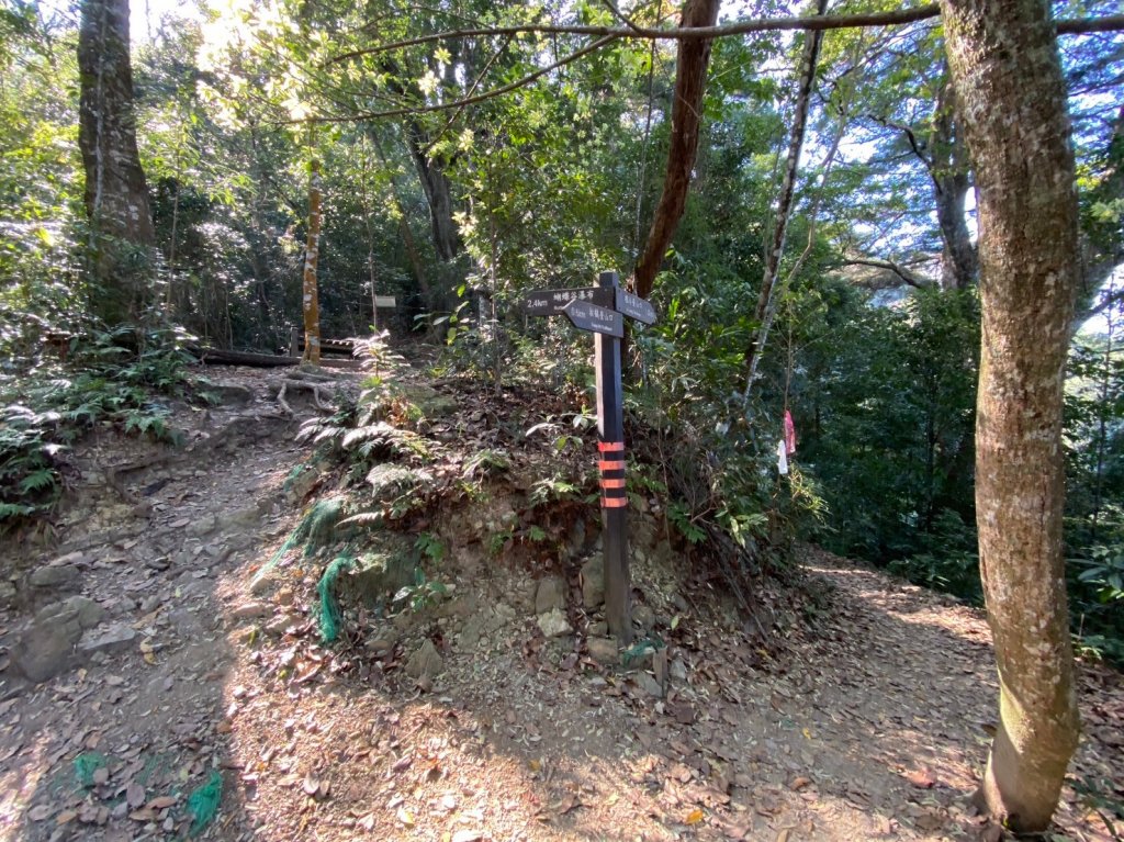 唐麻丹山-松鶴上三角點O型回松鶴_2378356