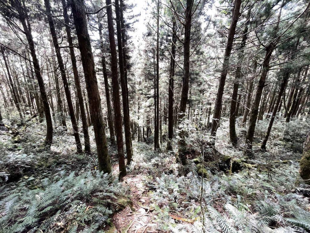 魔幻森林三星山與三星池_1658268