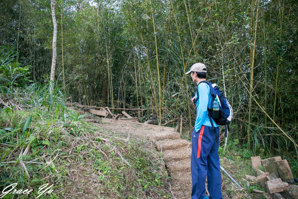 枕頭山古砲台歷史古道_238441