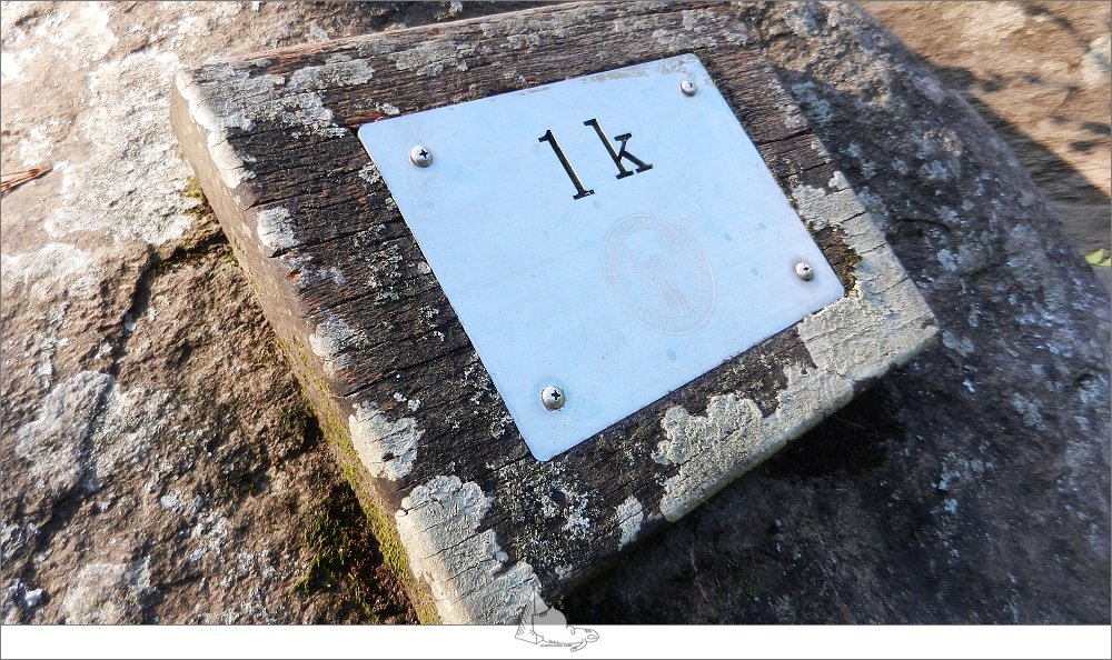 【登山健行│花蓮秀林】健行旅記，錐麓古道_965439