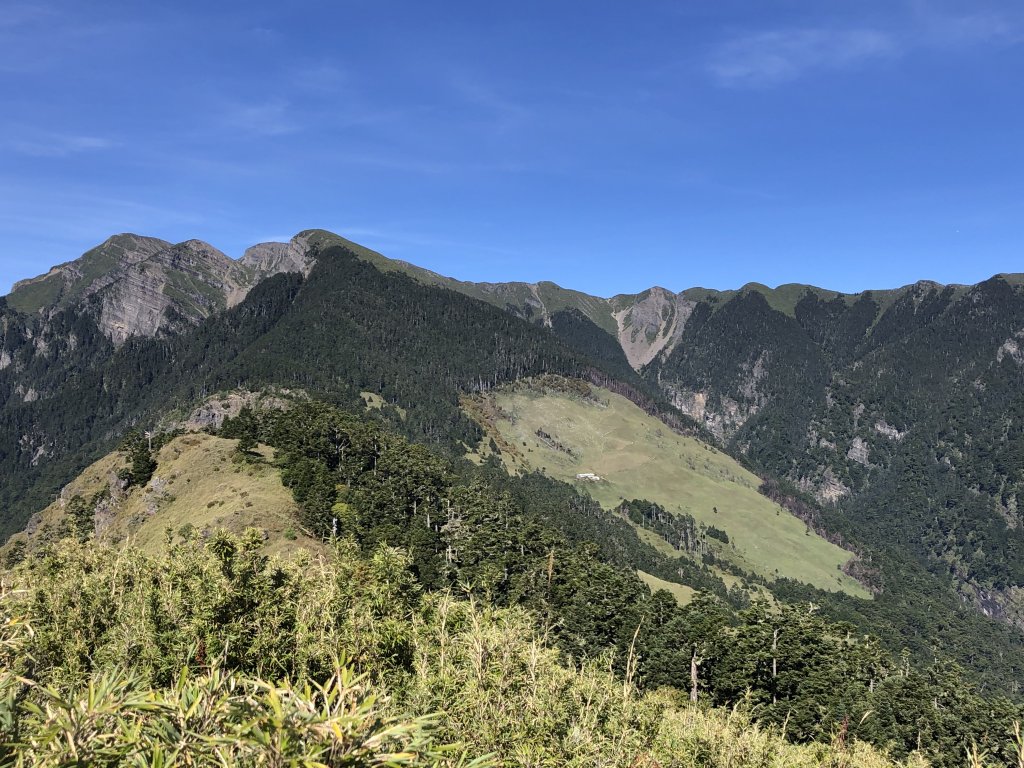 雪山西稜+大安溪神木_751972