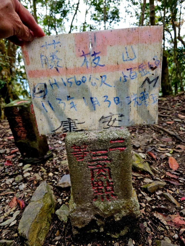 藤枝山-小百岳#68-高雄市桃源區_2750330