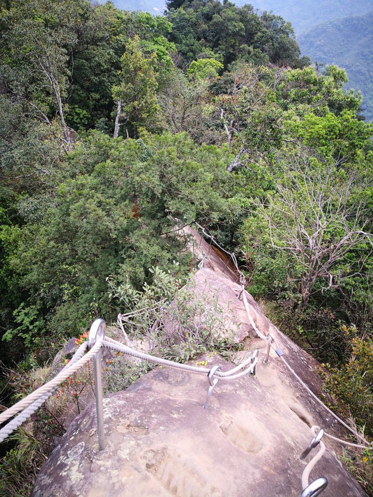 108.04.09再訪五寮尖_564291