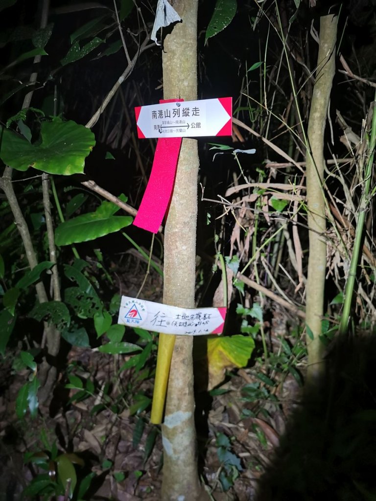 臺北大縱走4~6段 - 意外收穫的夜景 _875719