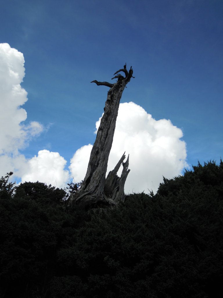 南湖群峰_南湖大山_南湖東峰__南湖北山_審馬陣山_多加屯山20140827_1960115