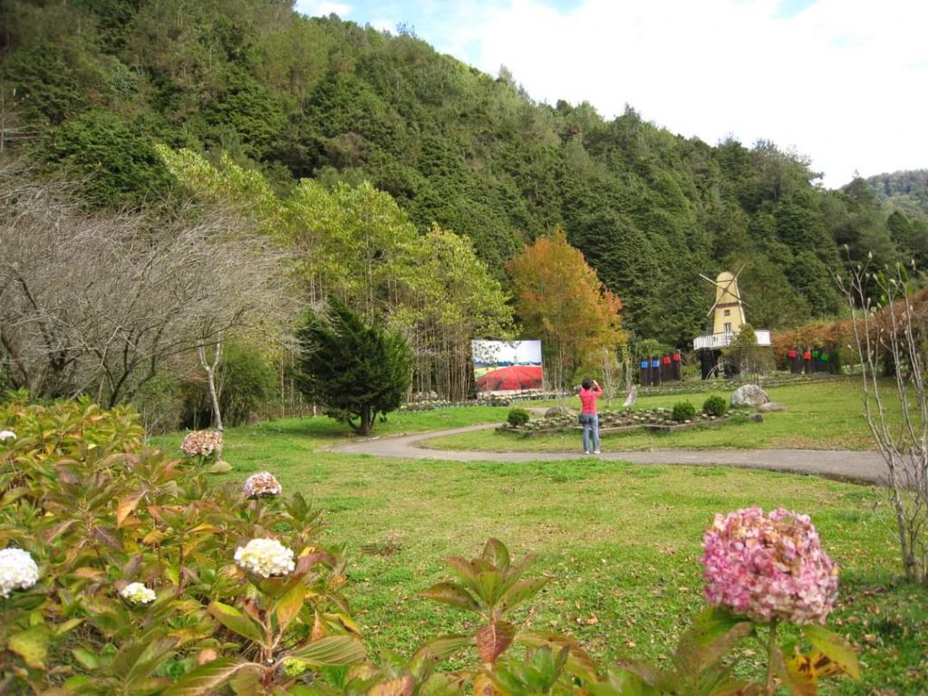 小百岳NO.48 彰化橫山。八卦山  猴探井 溪州公園，溪頭，杉林溪，大崙山銀杏茶園 中寮龍鳳瀑布_2268015