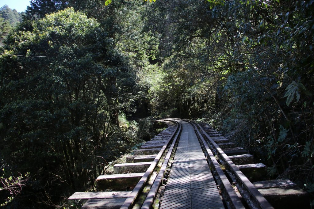 眠月線～年輕人爬山趣_2854762