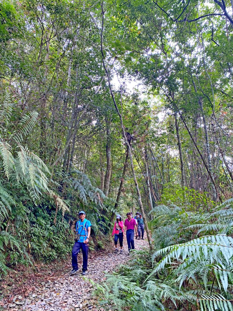 再訪澀水步道    2020/10/25_1144027