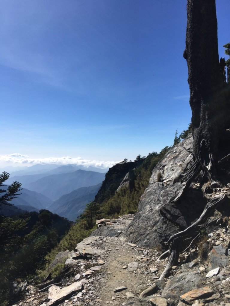 玉山主東西單攻_783567