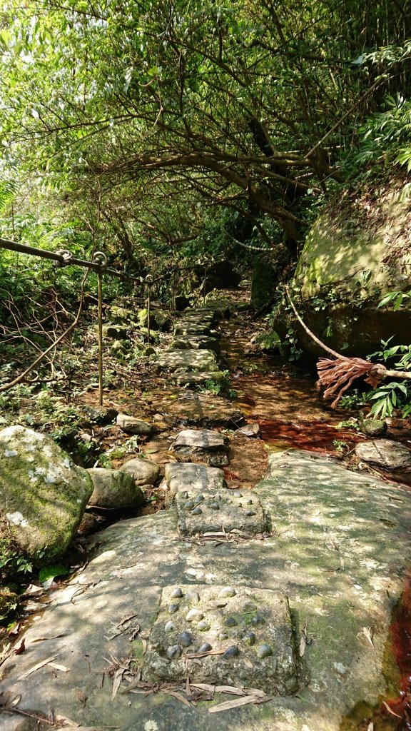 姜子寮山步道&姜子寮絕壁步道_549666