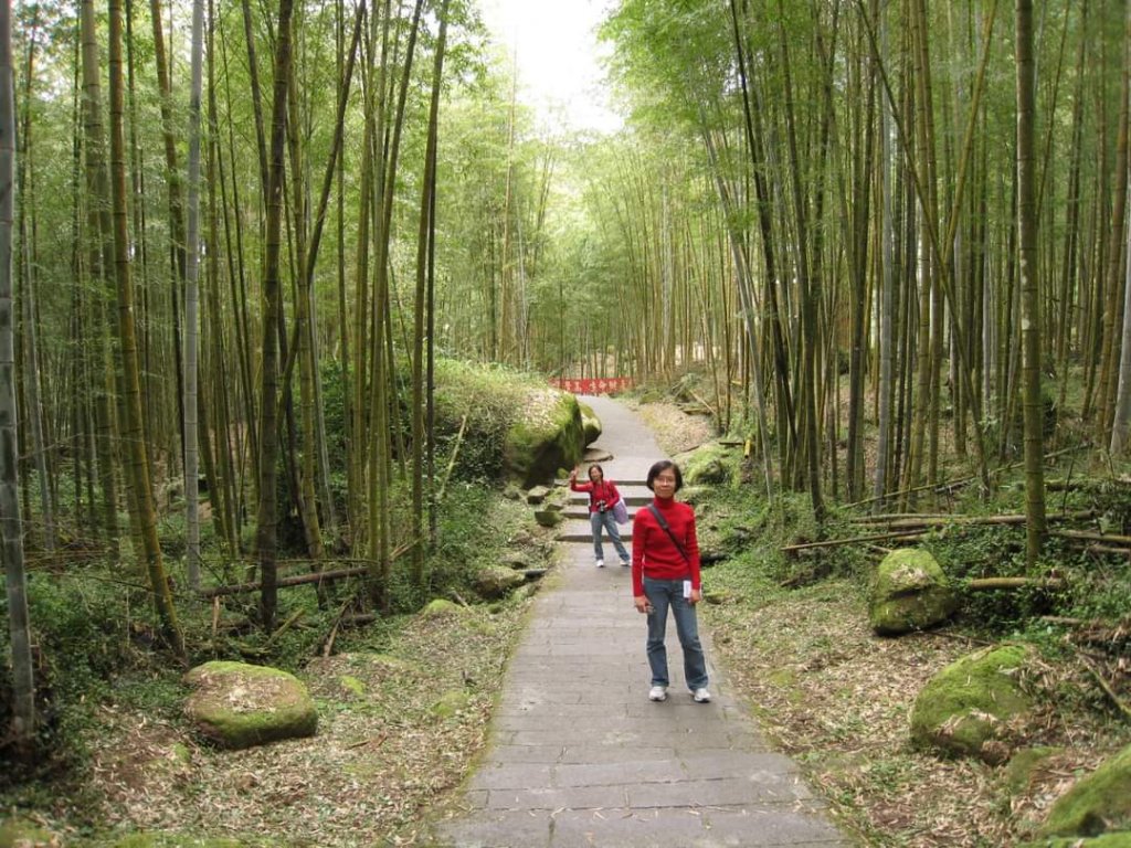 小百岳NO.48 彰化橫山。八卦山  猴探井 溪州公園，溪頭，杉林溪，大崙山銀杏茶園 中寮龍鳳瀑布_2267982