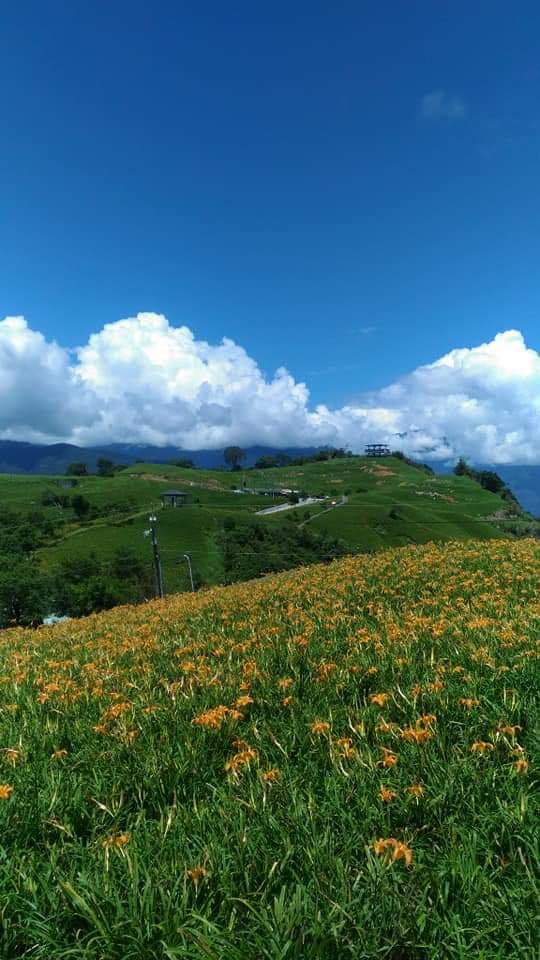 終於來到夢想多年的地方封面圖