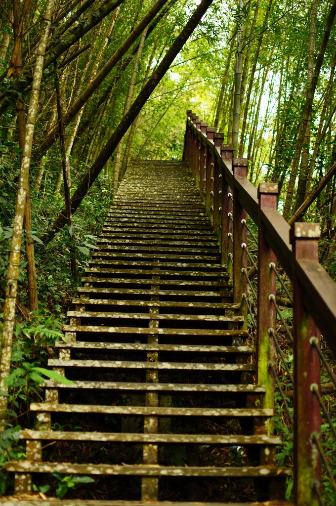 青年嶺步道_819212