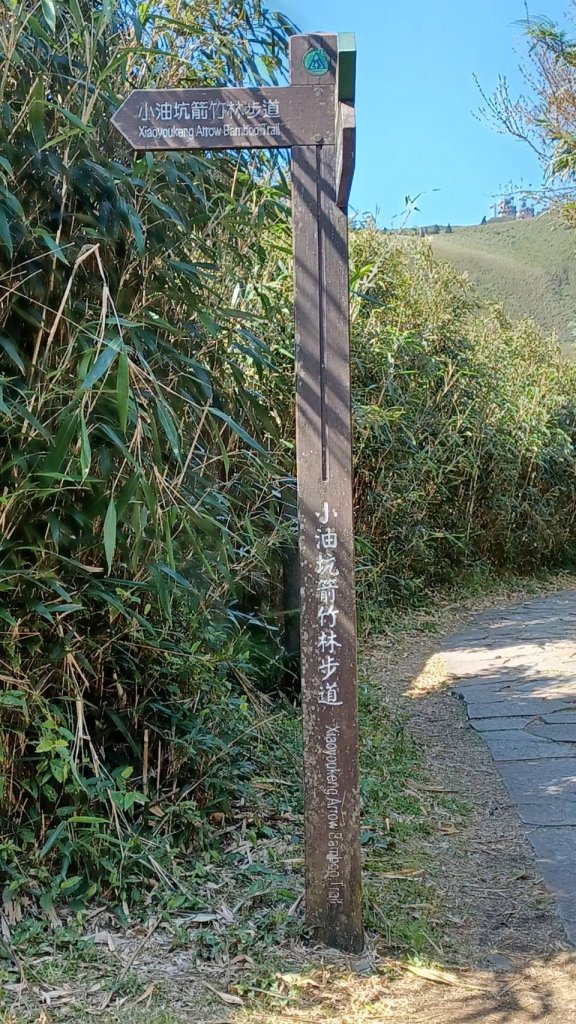 七星山主峰東峰封面圖