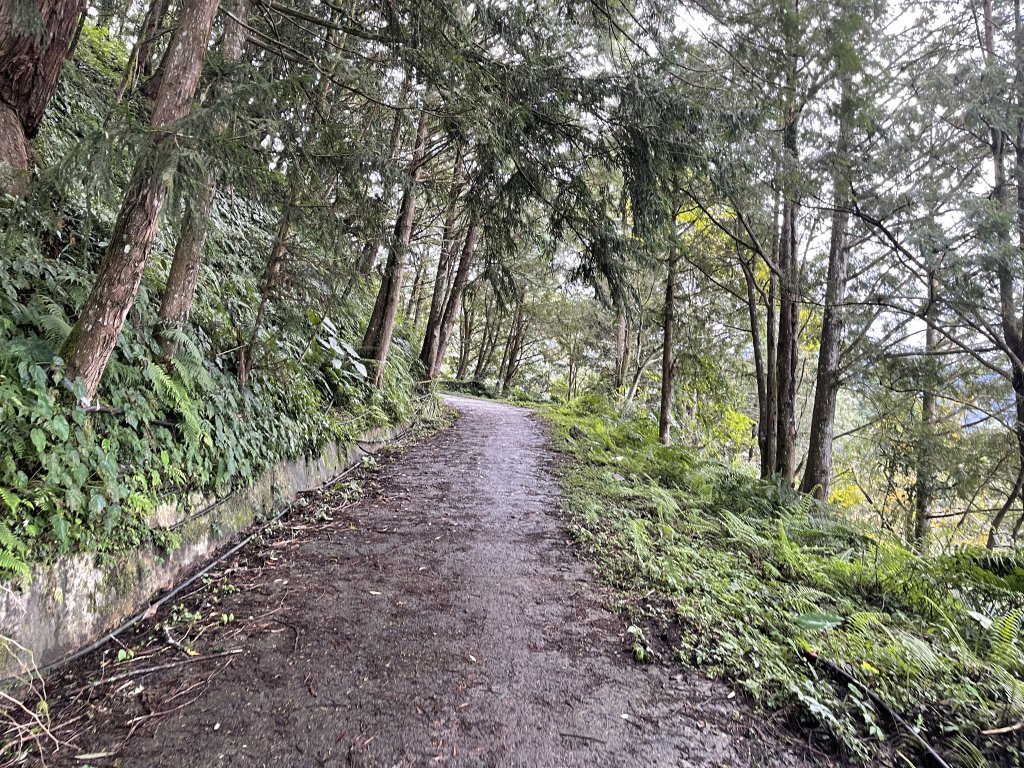 【宜蘭】加羅湖｜兩天一夜的野營生活，又是雨鞋出場的時候啦！_1663379