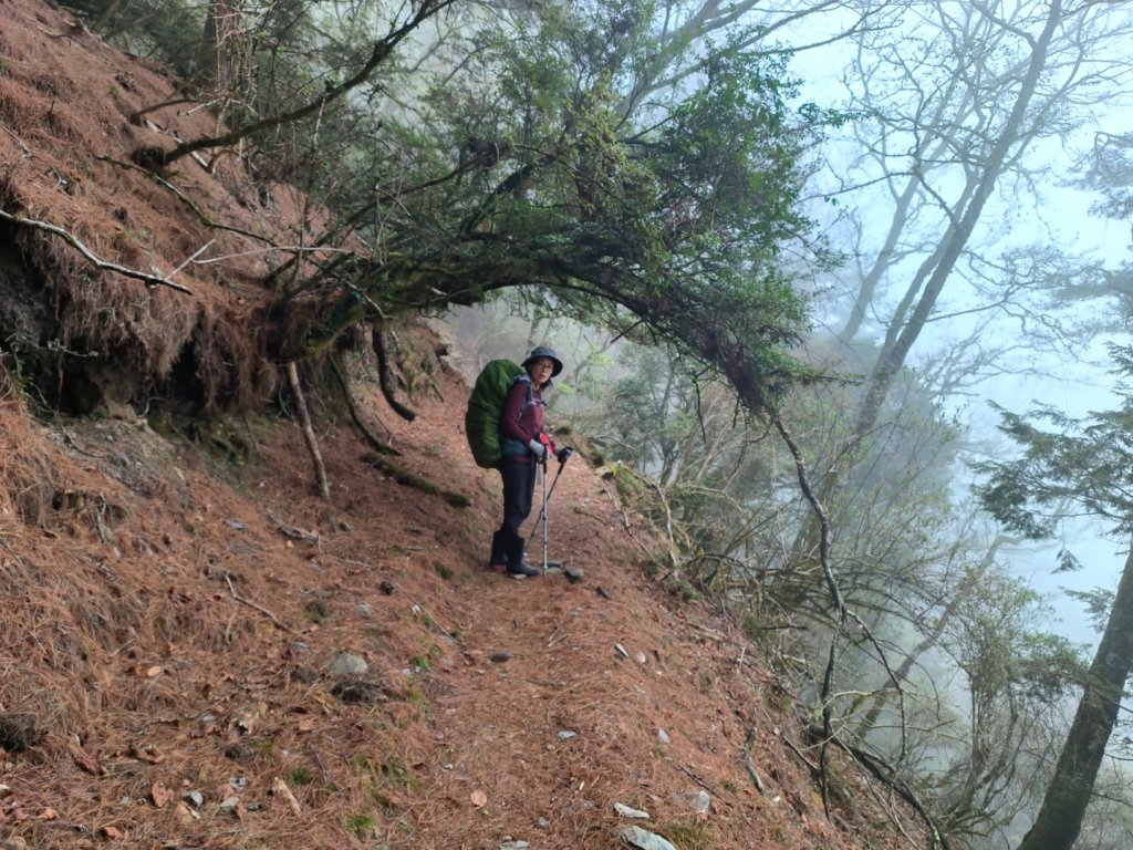 20240316 馬博8天縱走~第一天，東埔登山口到觀高工作站_2470738