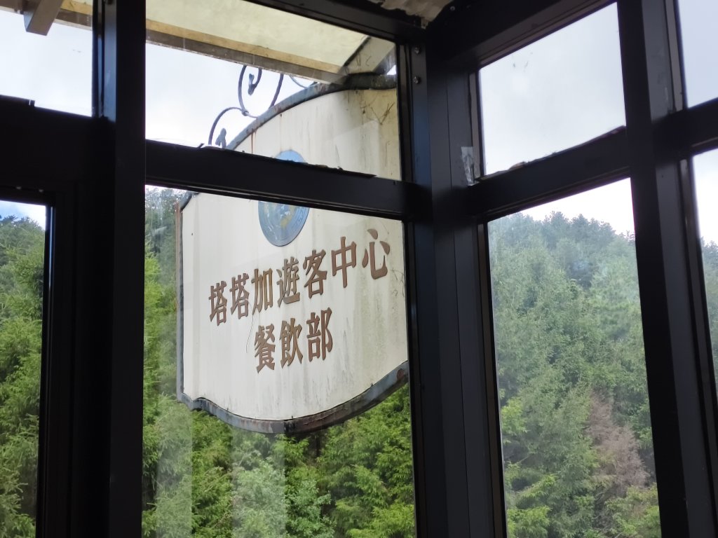 [玉山尋寶任務-05/12] 2025_0823 塔塔加步道(大鐵杉登山步道)_2869751