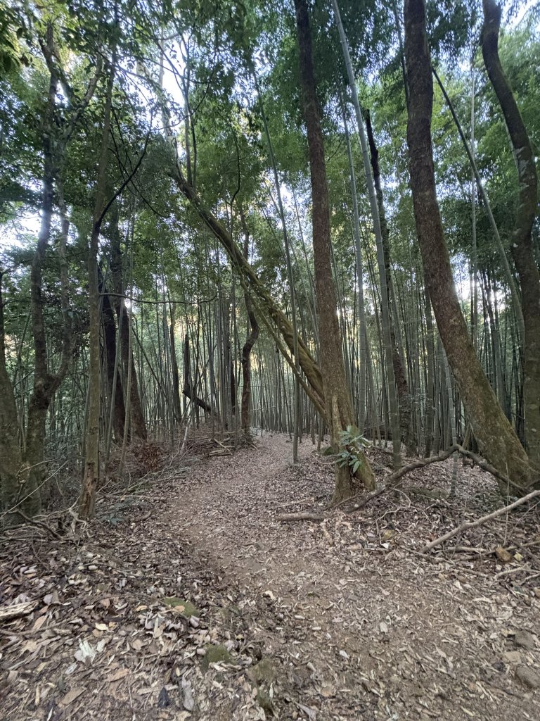 20251221嘉南雲峰、石壁山登山步道_2968090