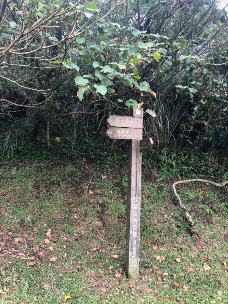 七星山主東峰20181115_461009