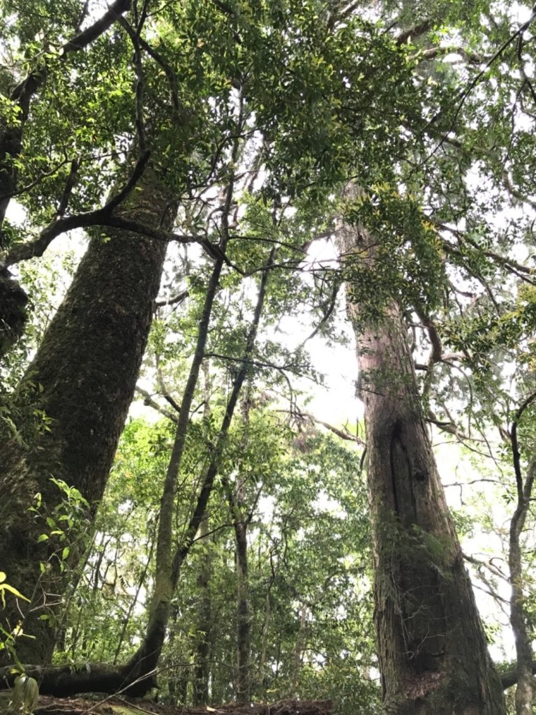 清泉霞喀羅大山_959287