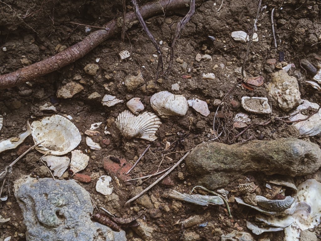 【合法探洞】北柴山、猩猩、天雨_1513433