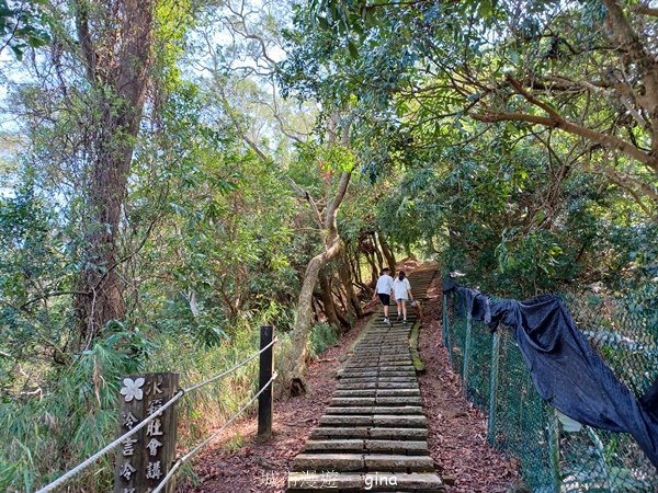 【苗栗造橋】適合親子悠閒踏青。劍潭古道_2533464