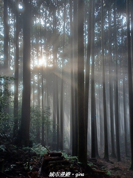 【苗栗南庄】裊裊雲霧台版富士山。 小百岳集起來。編號 34小百岳~加里山。 【台灣小百岳】 我玩登了_1903071