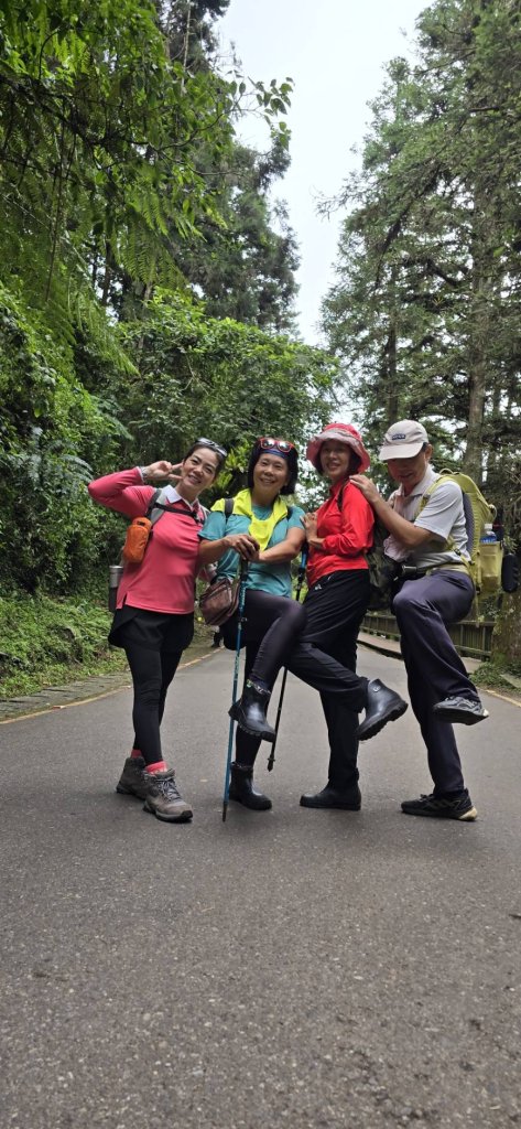 溪頭鳳凰林道_大學池_20240801_2577742