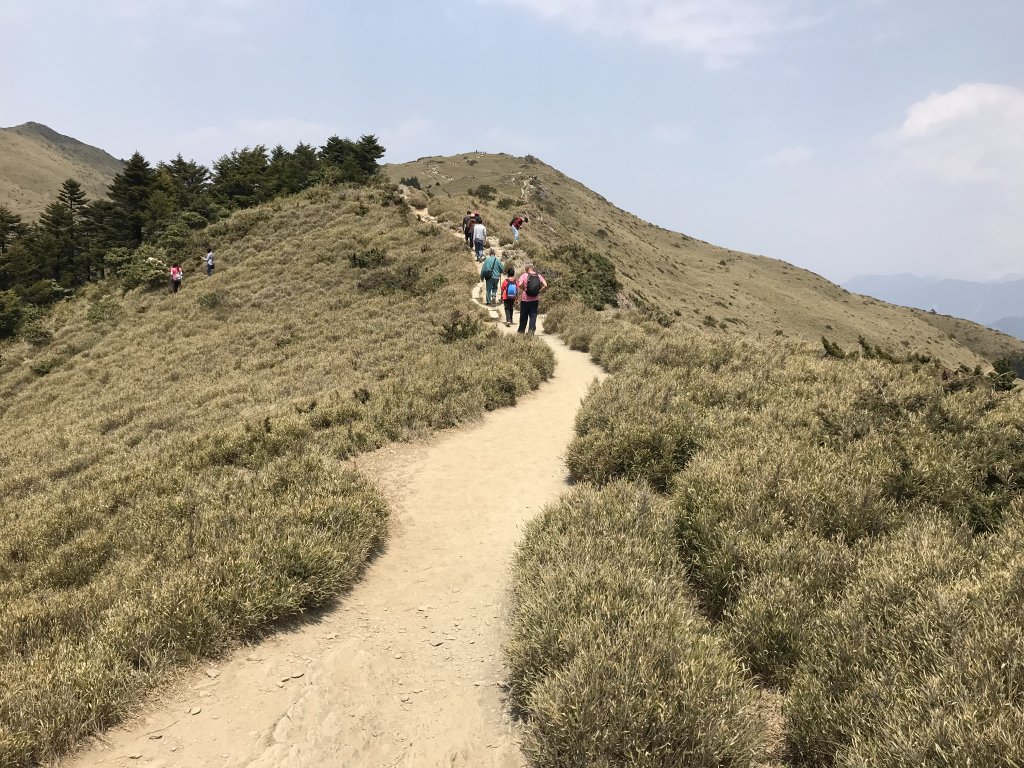 110年4月3日南投  合歡山石門山步道_1456478