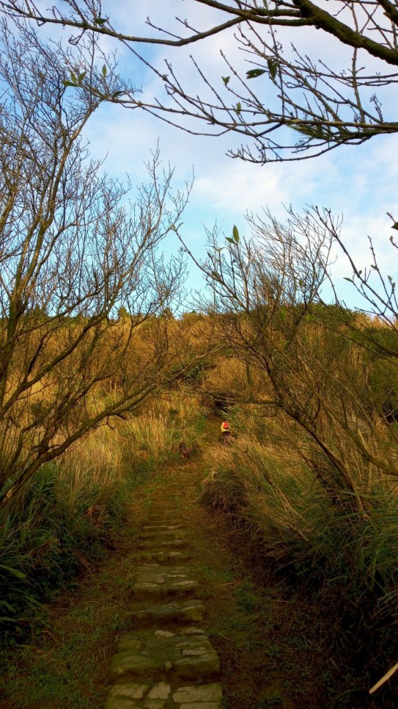 陽明山東西大縱走，下次再把西段走完_1963559