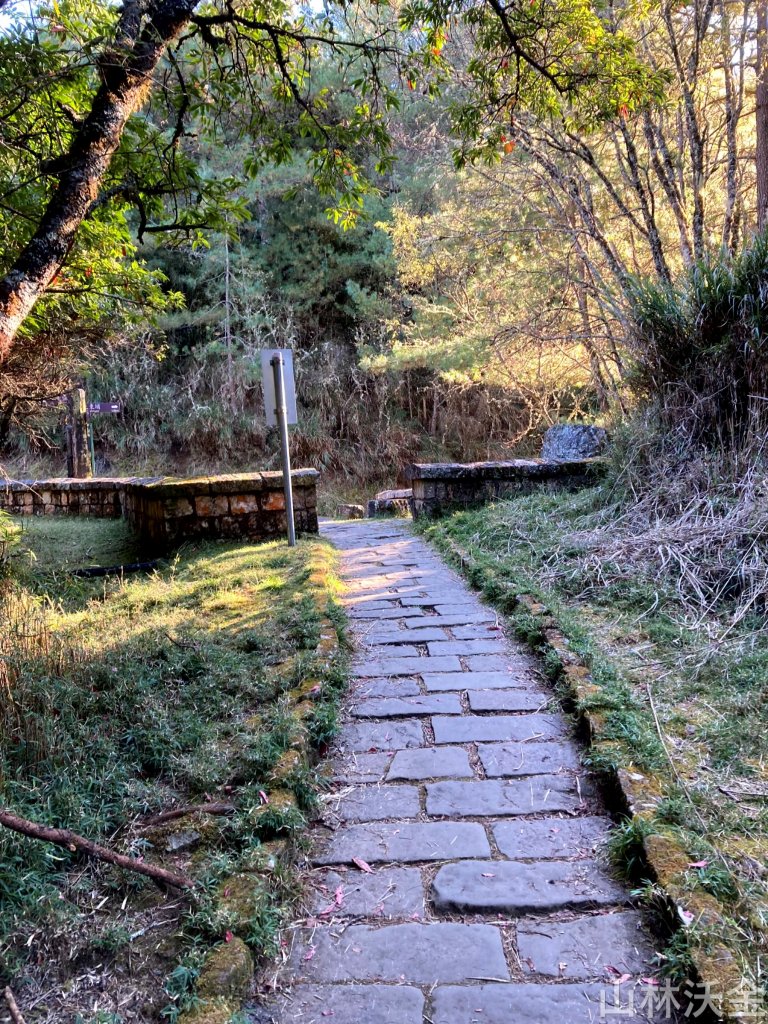 2023-11-26 東埔大草原步道_2363801