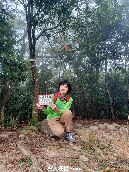 【苗栗銅鑼】健行賞花兩相宜。 銅鑼雙峰山x2023杭菊花季_2355261