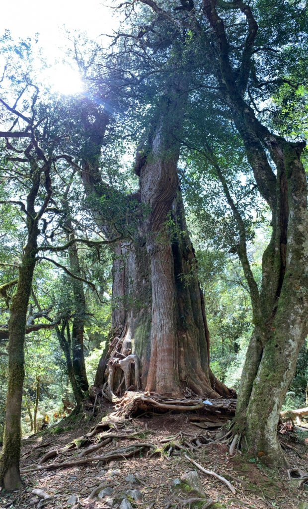 宜蘭 大同 台中 和平 羅馬環形縱走_2116340