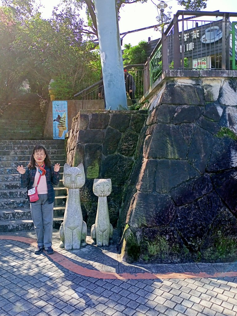 【臺北大縱走 7】貓空站→樟樹、飛龍步道_1254284