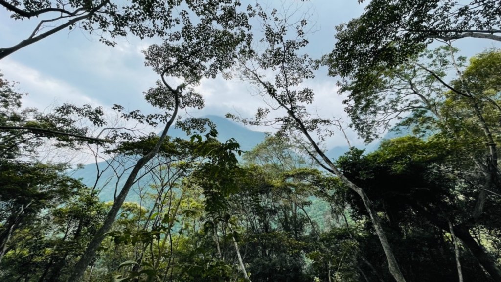 1100904佳保台山_1453492