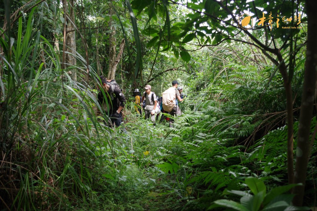 樟之細路 | 09/22砍草任務_686581